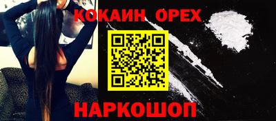 шишки Кандалакша
