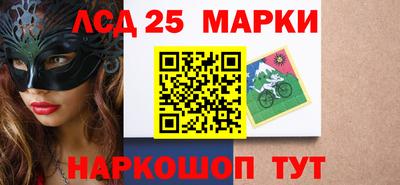 шишки Кандалакша