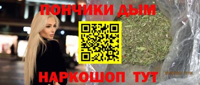 шишки Кандалакша