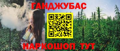шишки Кандалакша