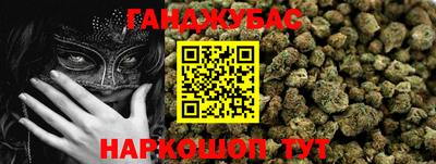 шишки Кандалакша