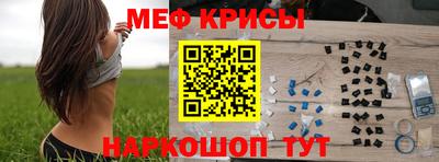 шишки Кандалакша