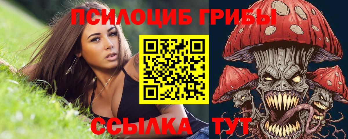 Галлюциногенные грибы Psilocybe  Вход с VPN  Кузнецк 